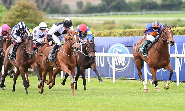 Unexpected Issues (black and white colours)