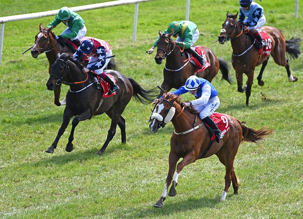 Cage Rattler (nearest) 