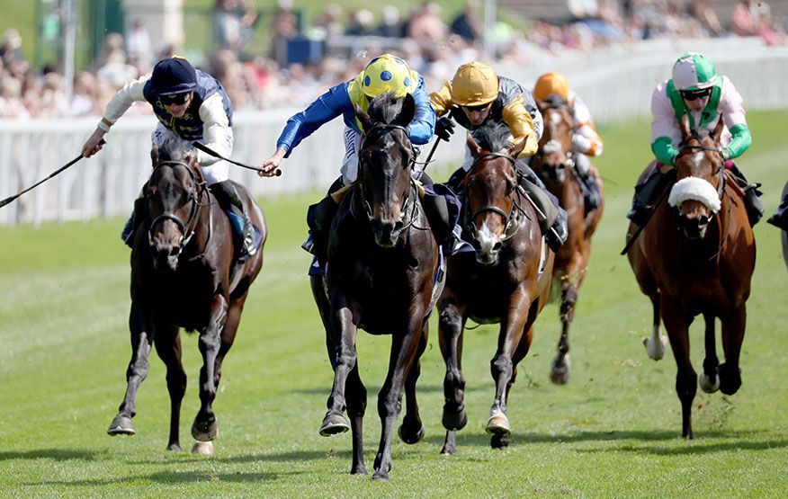 Never So Brave (centre) winning at Chester