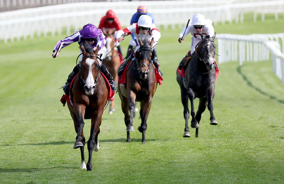 Point Lonsdale runs out a ready winner at Chester