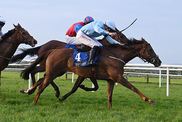 Jackstell (nearest) fends off Norr's Cross (red and blue)