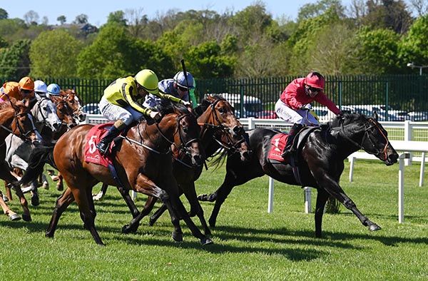 Rock N Roll Rocket and Shane Foley (nearest)