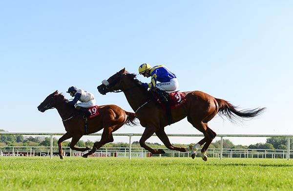 Kings Time (left) beats Rahmi
