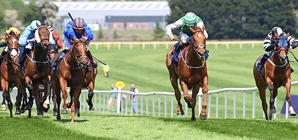 Mehman in the clear in the centre wins under Shane Foley