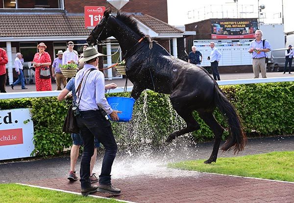 Excitable Jolie Jewel in the winners' enclosure