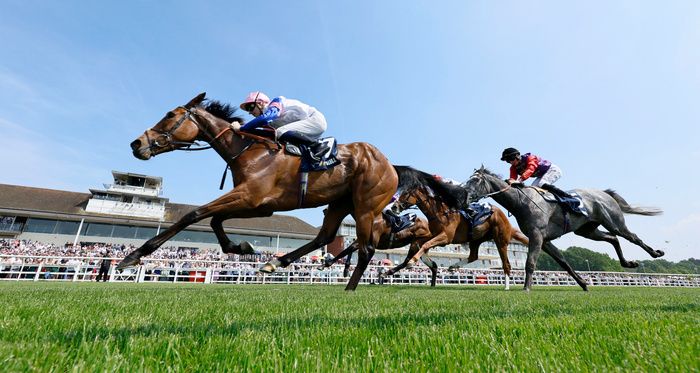 You Got To Me and Hector Crouch pink cap winning The William Hill Oaks Trial Fillies Stakes.