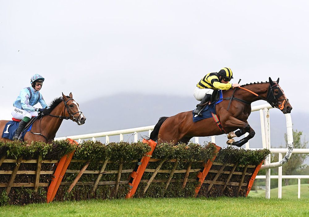 St Faz (Phillip Enright) leads home How About No (J J Slevin)