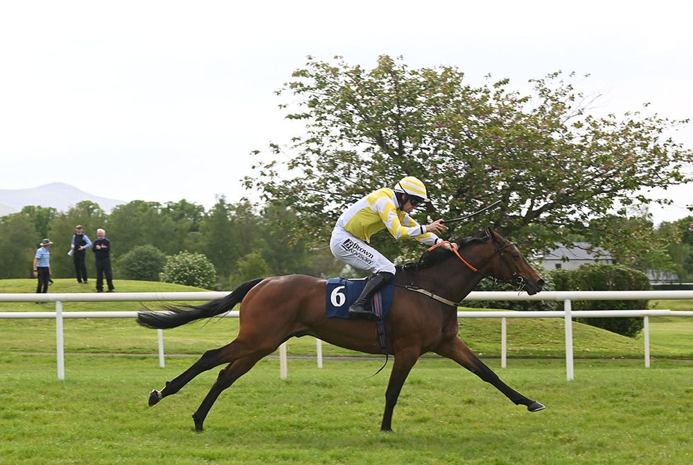 Kalium and Patrick Mullins