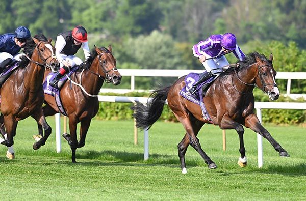Ortelius keeps up the gallop under Wayne Lordan