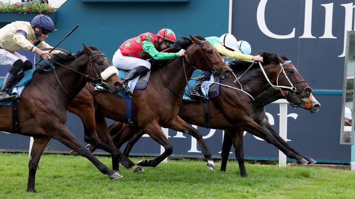 Mill Stream (white bridle) seen winning at York