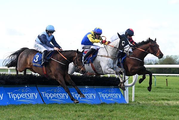 Tipperary 15 5 24 The Niffler and Keith Donoghue middle win the Tipperary Handicap Hurdle Healy Racing 