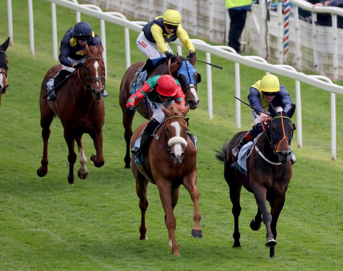 Point Lynas (right) winning at York