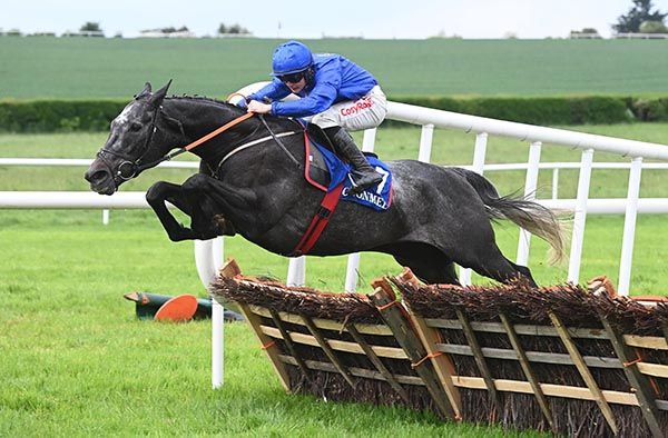 16 5 24 Clonmel Clodders Dream and Sam Ewing win the Aisling Kennedy Memorial Maiden Hurdle Healy Racing Photo