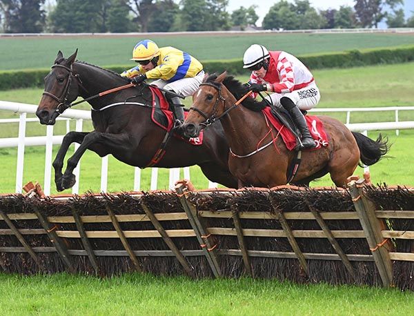 Flicker Of Hope (left) and Tingarran Express at the last
