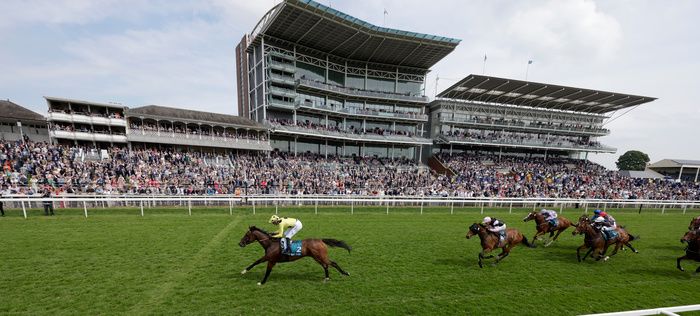 Botanical and James Doyle (yellow) winning The Knights Solicitors Stakes York 17.5.24Healy Racing