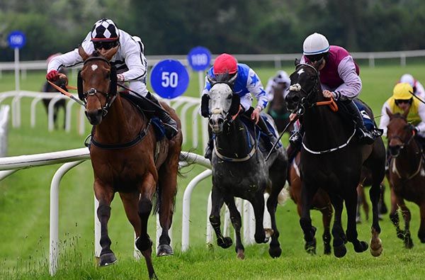 Run For Harry  (left) 