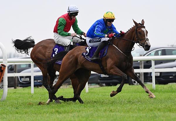 One Night Standard (Keith Donoghue) leads from Ballinearla Girl (Shane O'Callaghan)