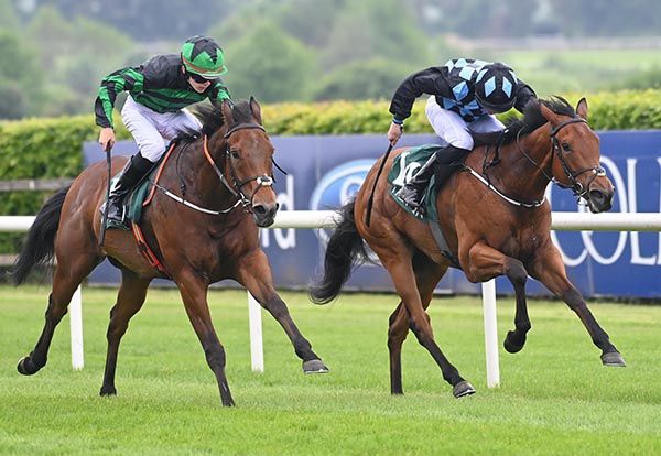Stanhope (Keithen Kennedy, nearside) short headed Layoftheland (Paddy Harnett) 