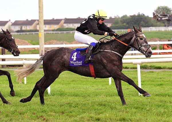 Divaboriva is ridden out by Adam Ryan 