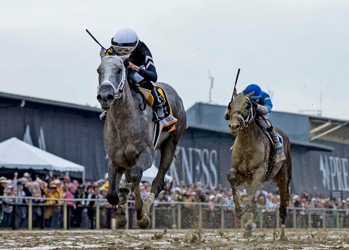 Seize The Grey and Jamie Torres pictured winning the Preakness Stakes