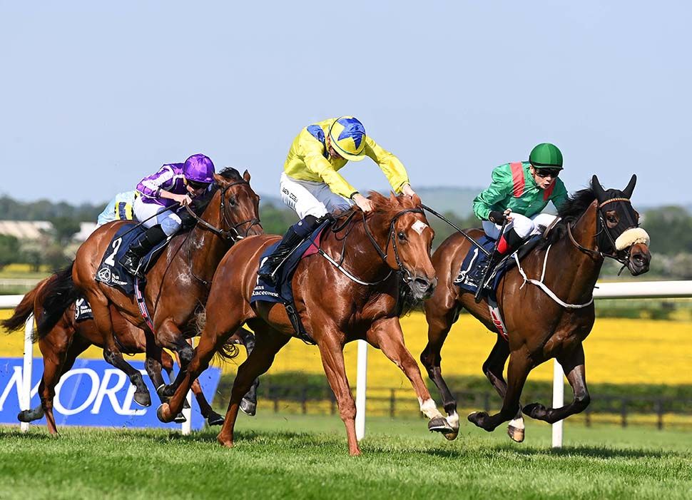 Naas 19 May 2024Chicago Critic and Ben Coen win from Sharinay for trainer Johnny Murtagh Healy Racing
