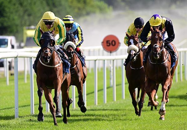 Alto Sax, left, approaches the winning post