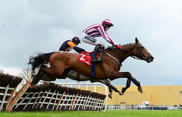 Fenway Park and Keith Donoghue maroon  white win the Punchestown Maiden Hurdle from Syracus Du Houx 