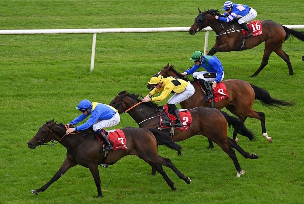 Cork 21 May 2024Signor Ferrari and Hugh Horgan win for trainer Johnny Feane from The Bear Trap Healy Racing