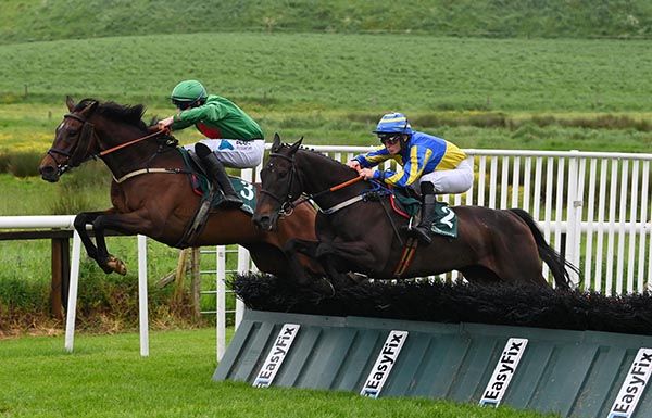 That's About Right, near side, about to pick off Paddy Elvis after the last