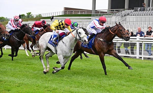 Red Letter Bray beats the grey Little Queenie 