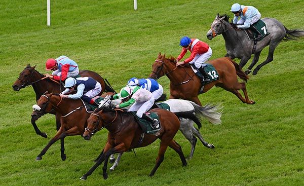 Mitbaahy, near side, cuts them down