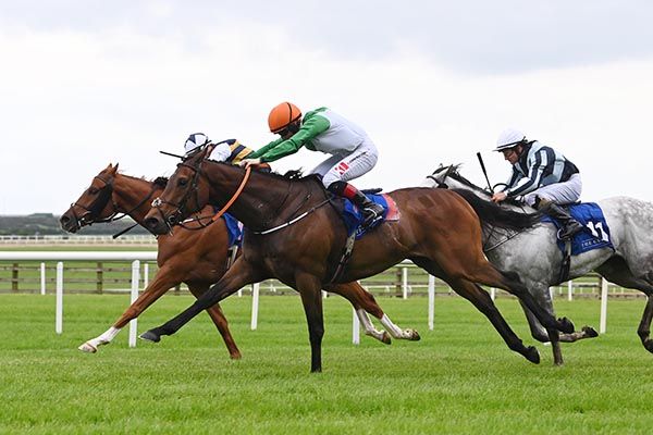 Crystal Black, orange cap, gets there