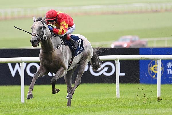 White Birch and Colin Keane.