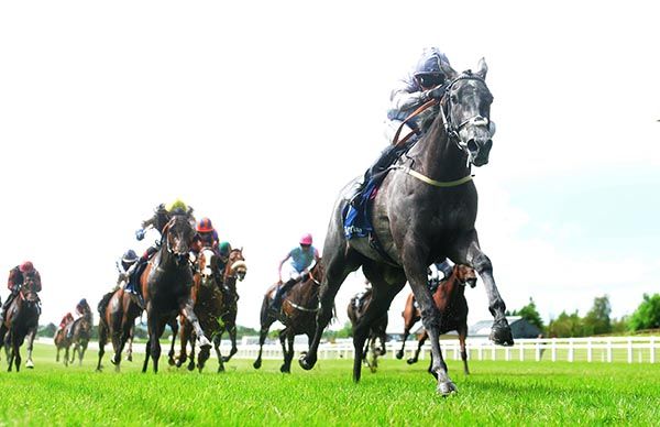 Fallen Angel and Danny Tudhope. 