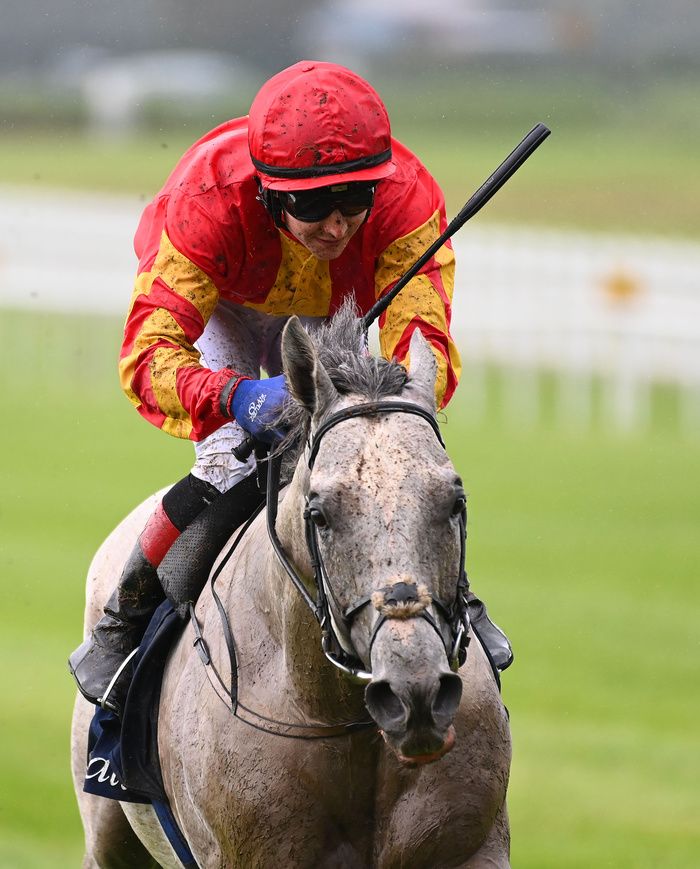 White Birch and Colin Keane 