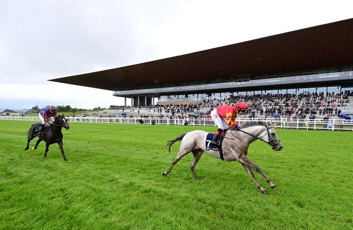 White Birch leads home Auguste Rodin in the Tattersalls Gold Cup
