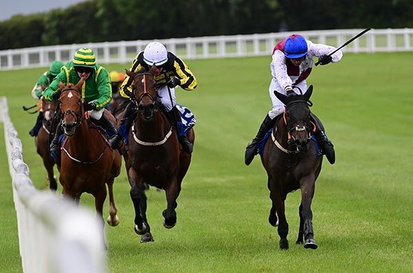 St Anthonys Corner and Robbie Geoghegan. 