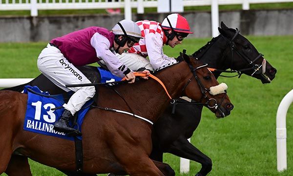 Will It Be You (far side) touches off Father Jed