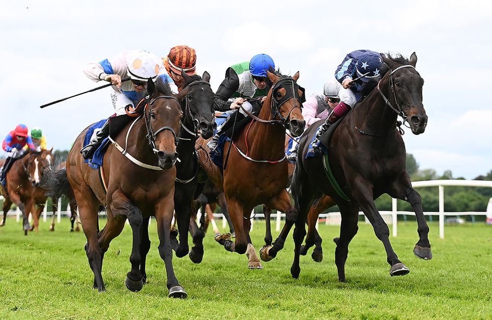 Linger For Longer (left)