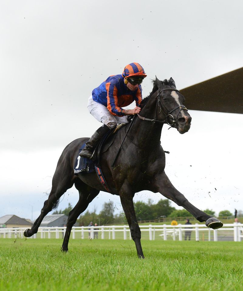 Curragh 26 5 24 Auguste Rodin Ryan Moore Healy Racing 