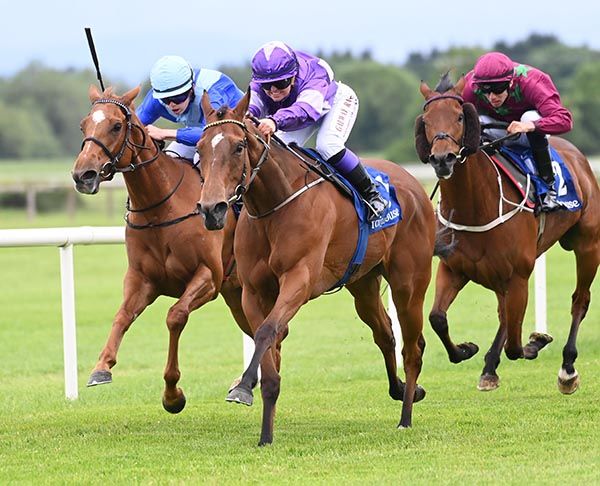 Moonlit Mist and Amy Jo Hayes.
