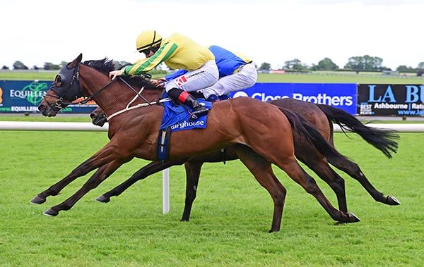 Alto Sax and Colin Keane (nearest) beat Signor Ferrari 