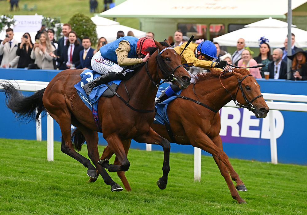 Two Tempting and David Egan far side beats Beshtani James Doyle.