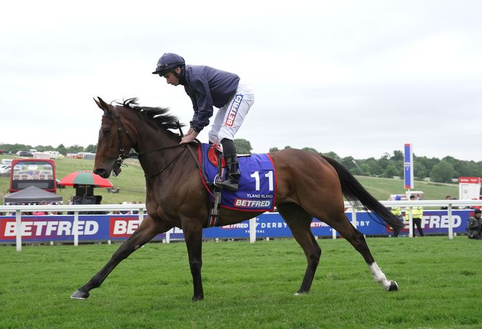 Epsom 31-May-2024 Ylang Ylang and Ryan MooreHealy Racing