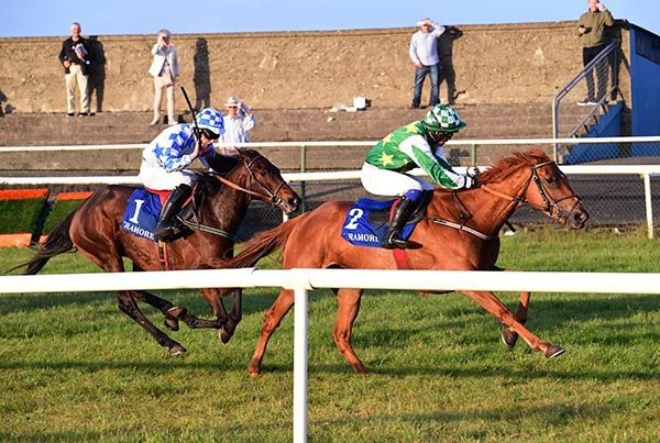 Glannagaullitehous and Adam Ryan.