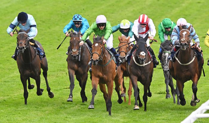 Royal Dress (red and white)