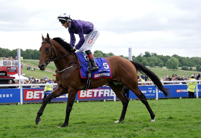 Amo Racing have a new trainer at Freemason Lodge 