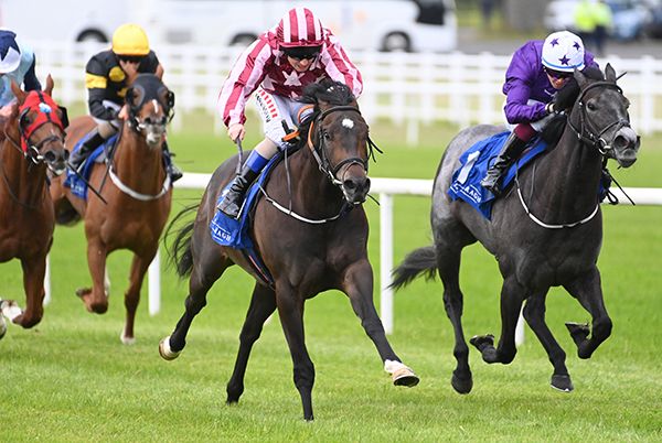 Kendall Roy is ridden out by Chris Hayes to beat Majestic Beauty (right)