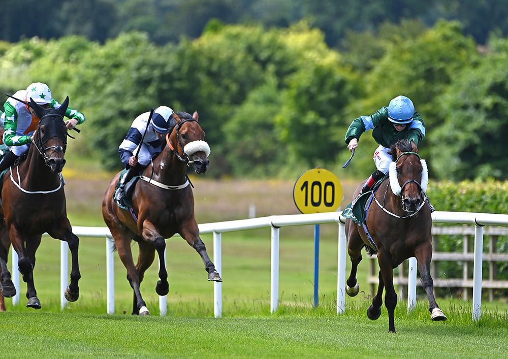 Thunderbear and Colin Keane.