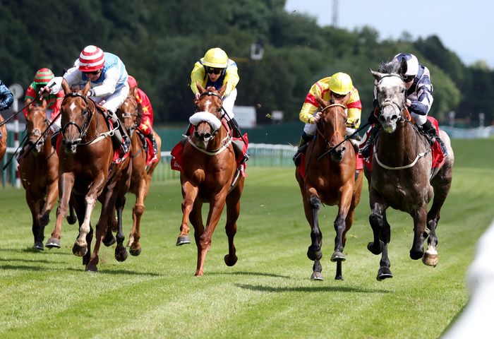 Iron Lion and Jamie Spencer. 